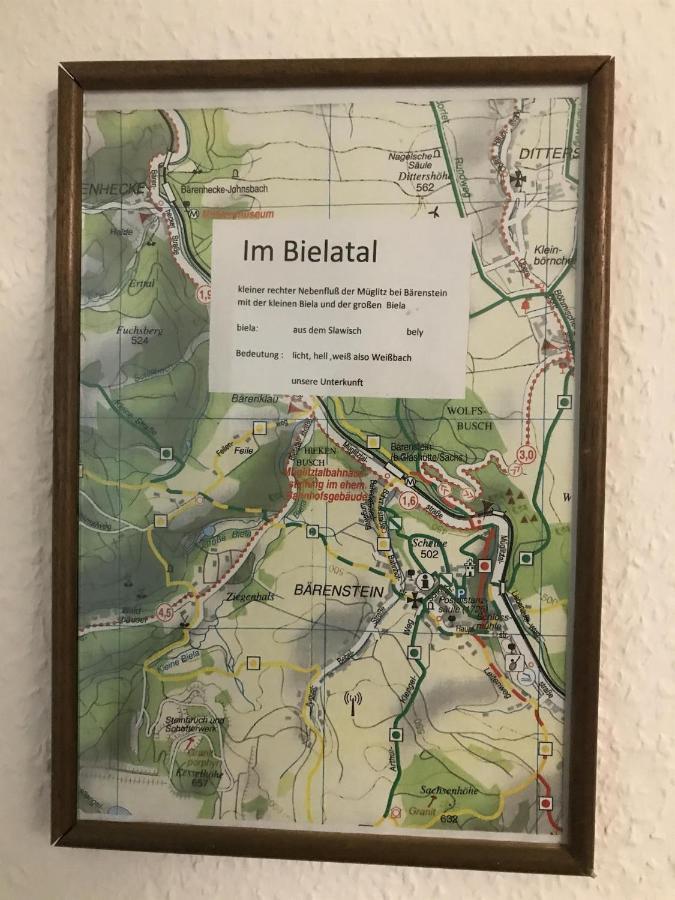 Ferienwohnung Uhlig Altenberg Buitenkant foto